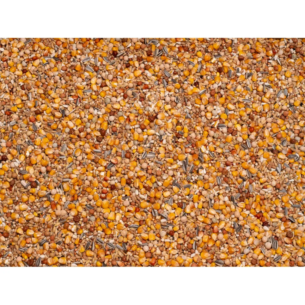 Basic Rui 25 kg^Beyers Sale