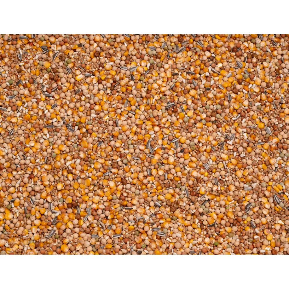 Basic 4-seizoenen 25 kg^Beyers Outlet