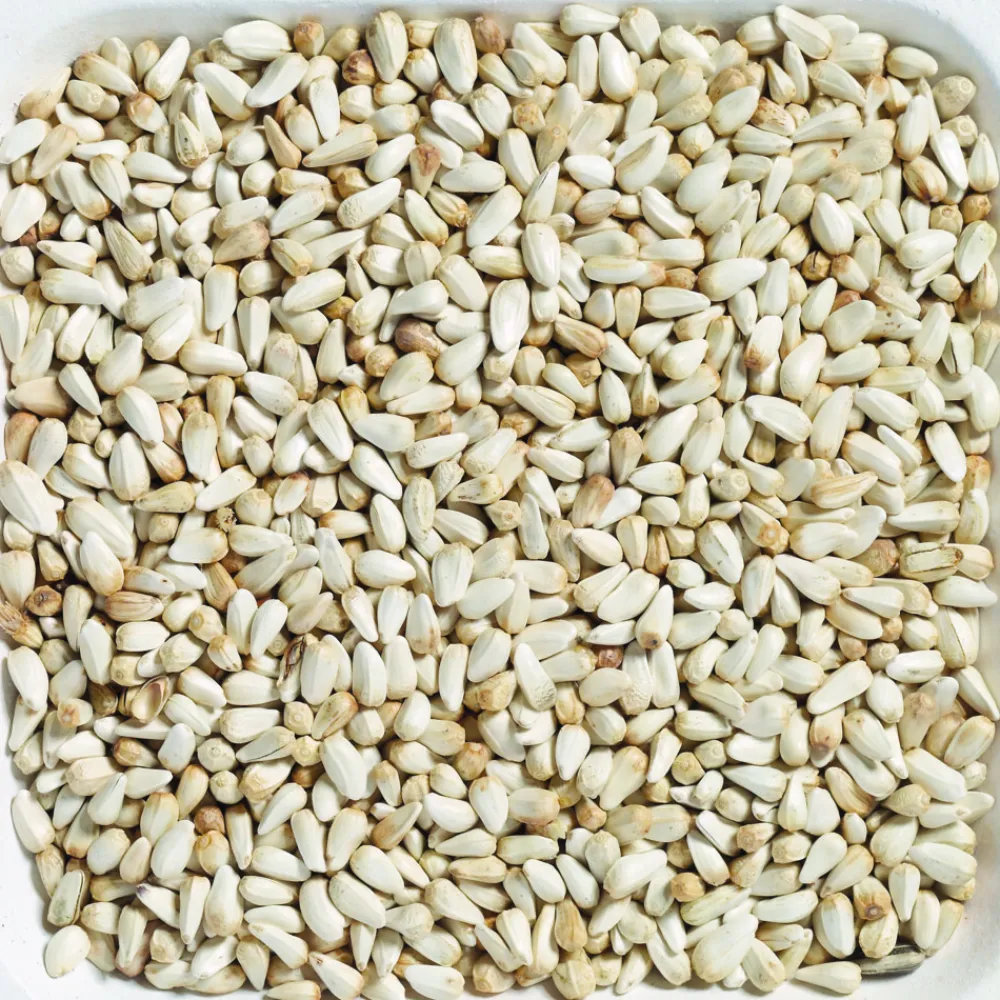 Cardy Extra 15 kg^Beyers