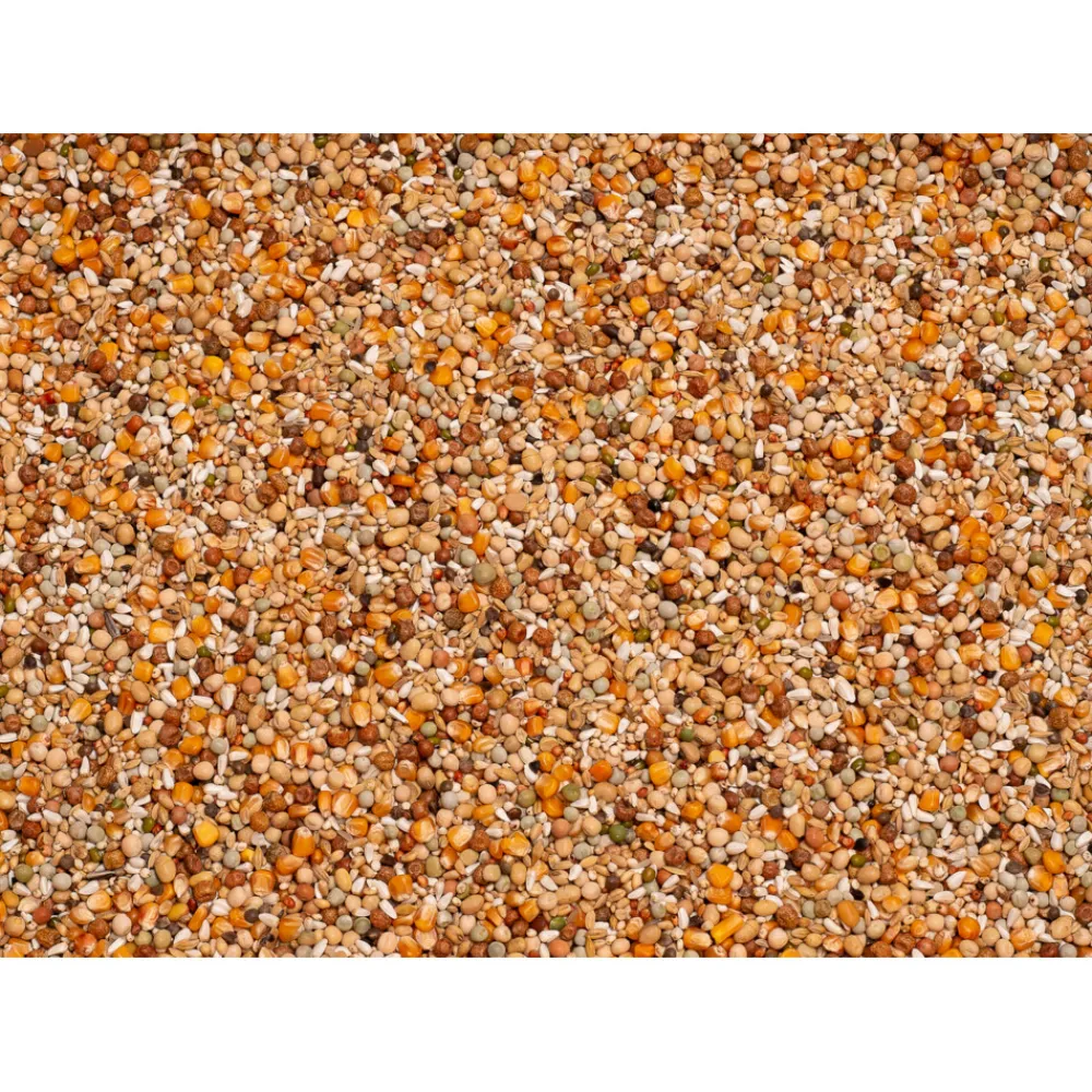 Enzymix 7/43 MS Opbouw Extra 20 kg^Beyers Best