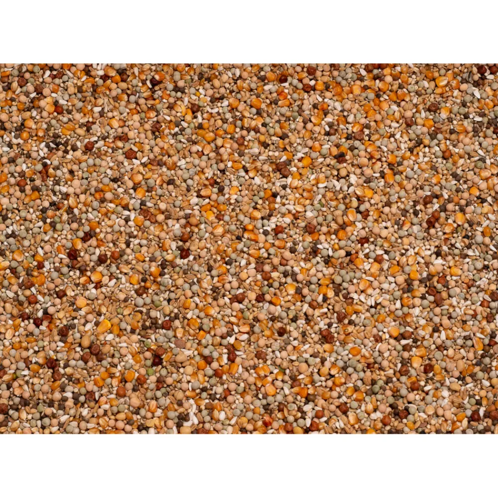 Duif<Beyers Enzymix 7/40 MS Opkweek 20 kg