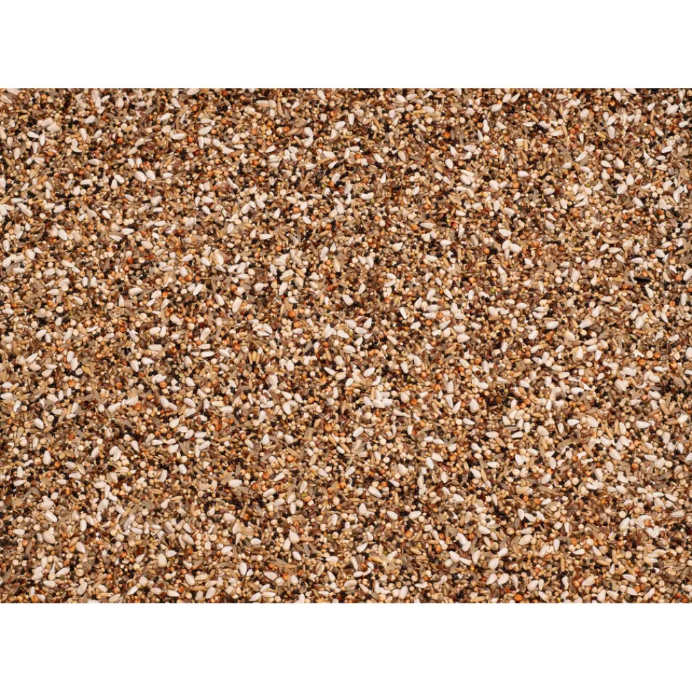 Enzymix 7/57 MS Snoepzaad Fijn 20 kg^Beyers Sale