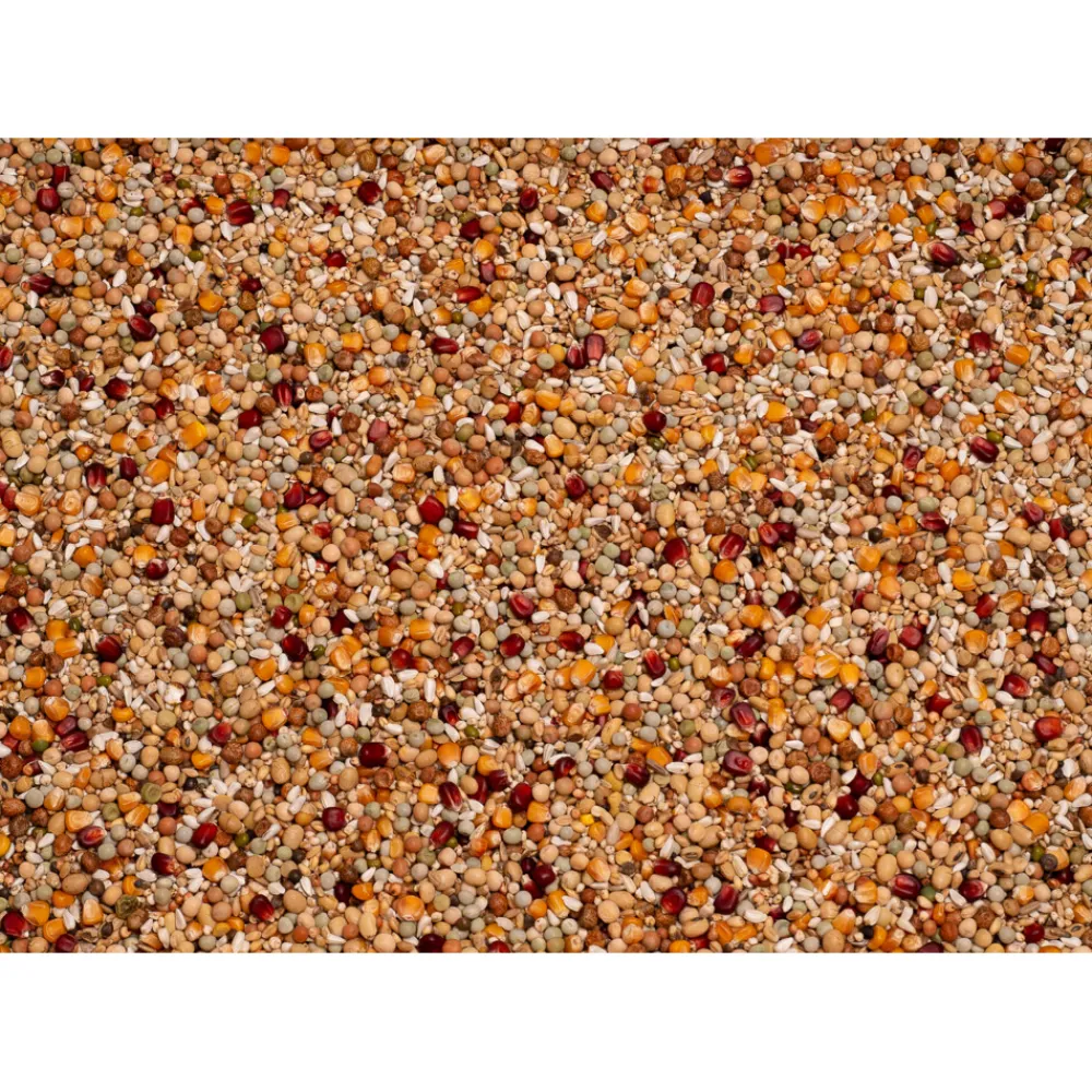 Galaxy Kweek 20 kg^Beyers Sale