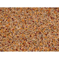 Clearance Galaxy Rui 20 kg Duif