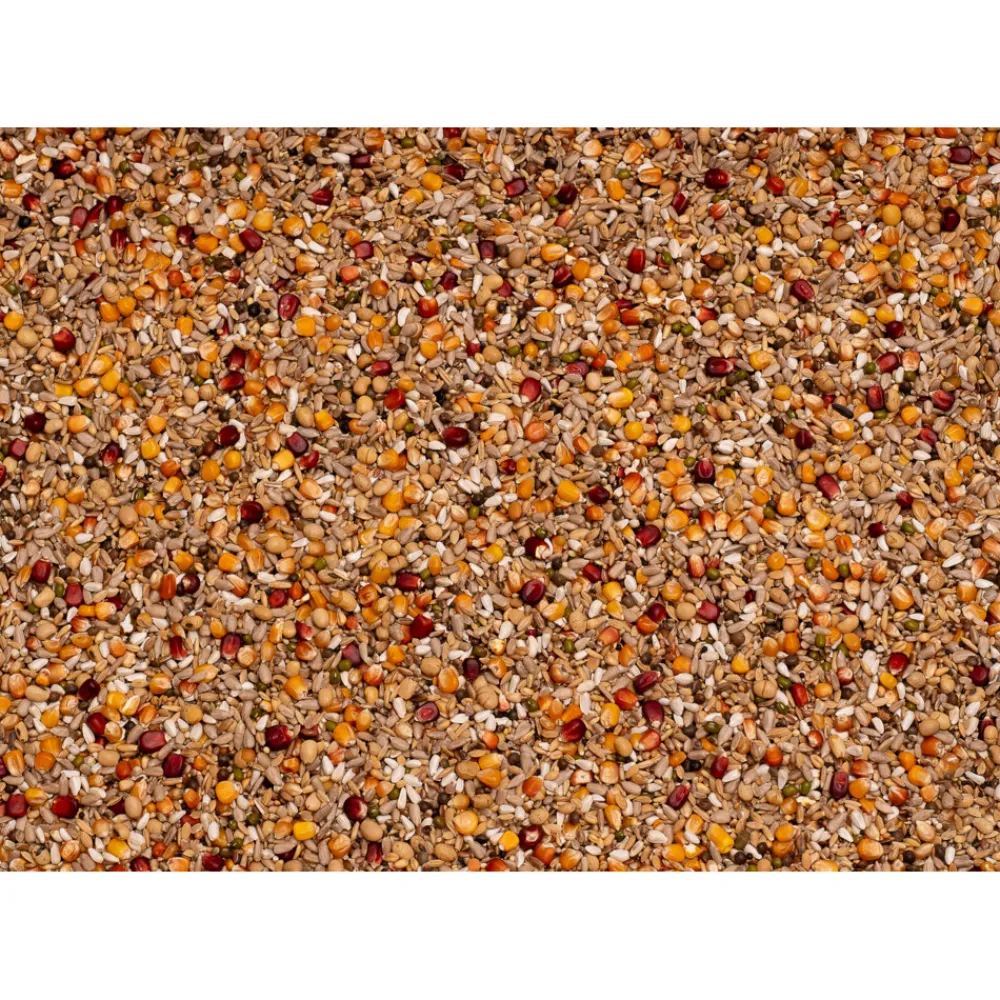 Galaxy Sport Energy 20 kg^Beyers Hot