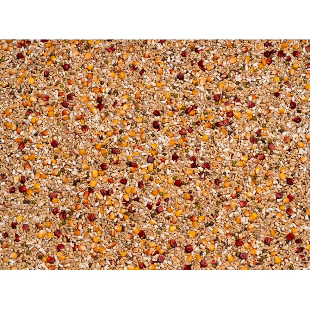 Duif<Beyers Galaxy Sport Light 20 kg