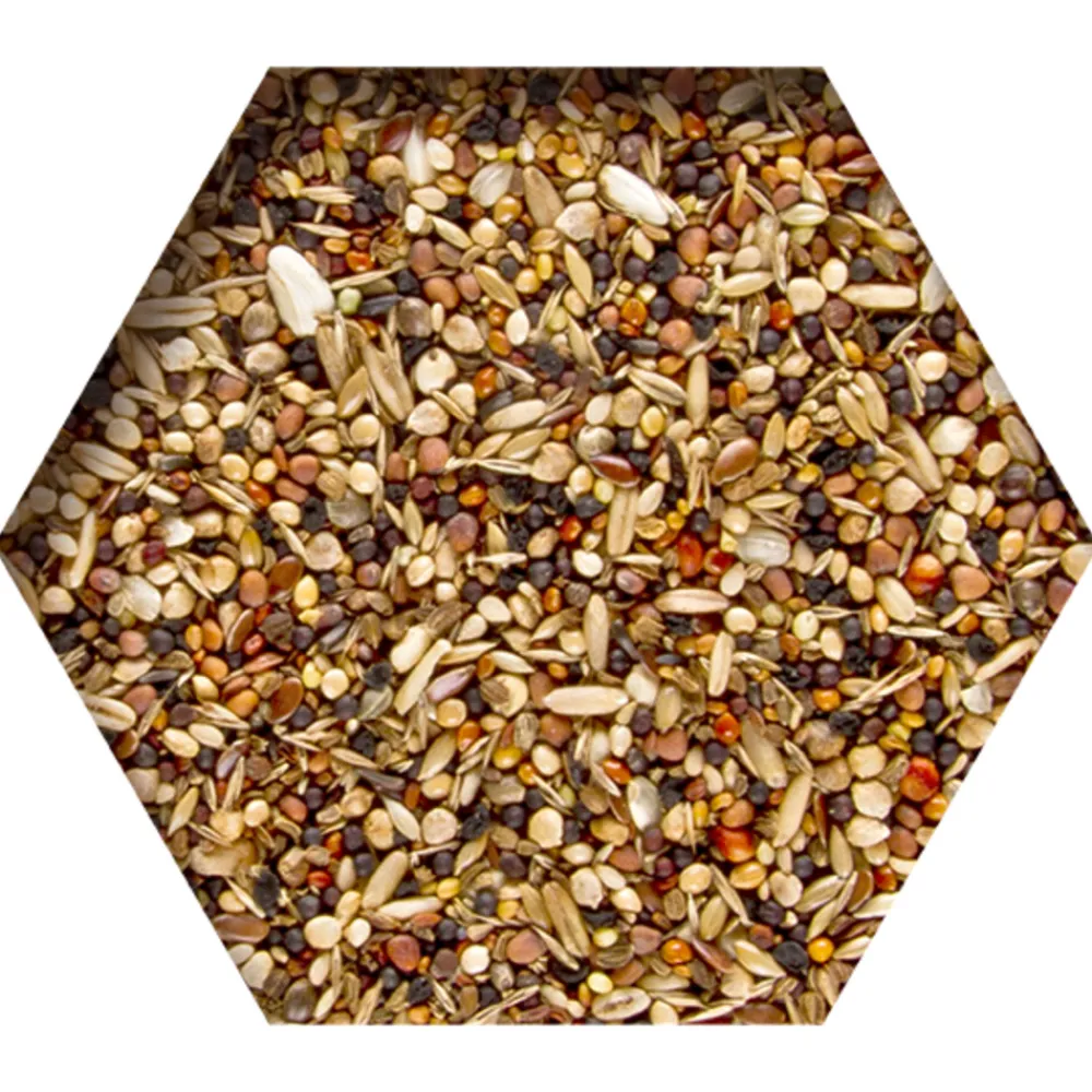 Hot Moulting Support 2 kg Duif