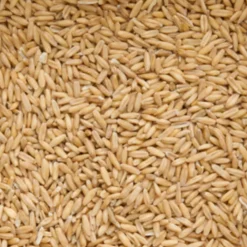 Original Gepelde Haver 20 kg^Beyers