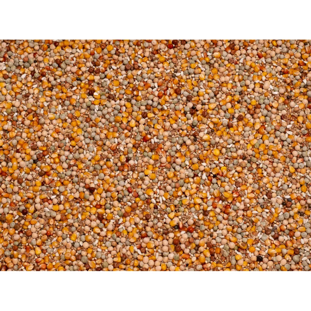 Discount Original Kweek 25 kg Duif