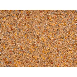 Original Rust- Winter 25 kg^Beyers Discount