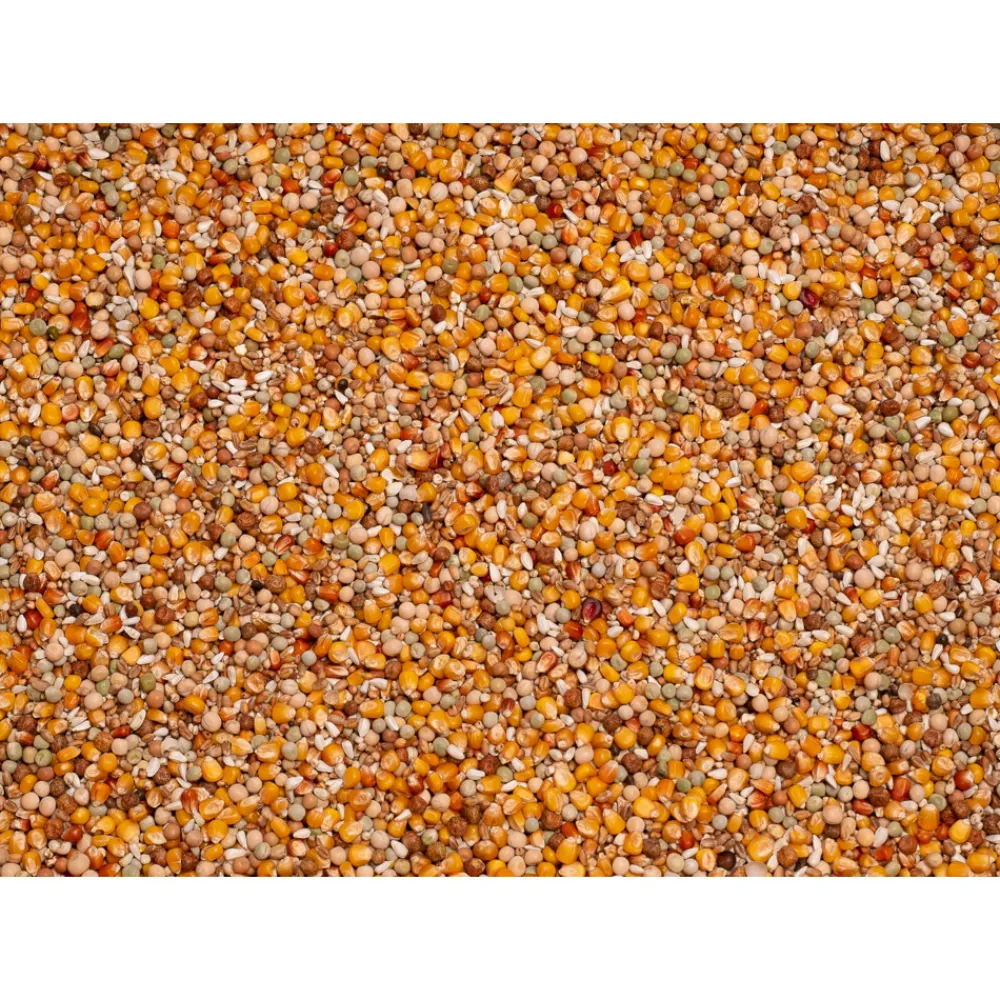 Original Sport 25 kg^Beyers Best