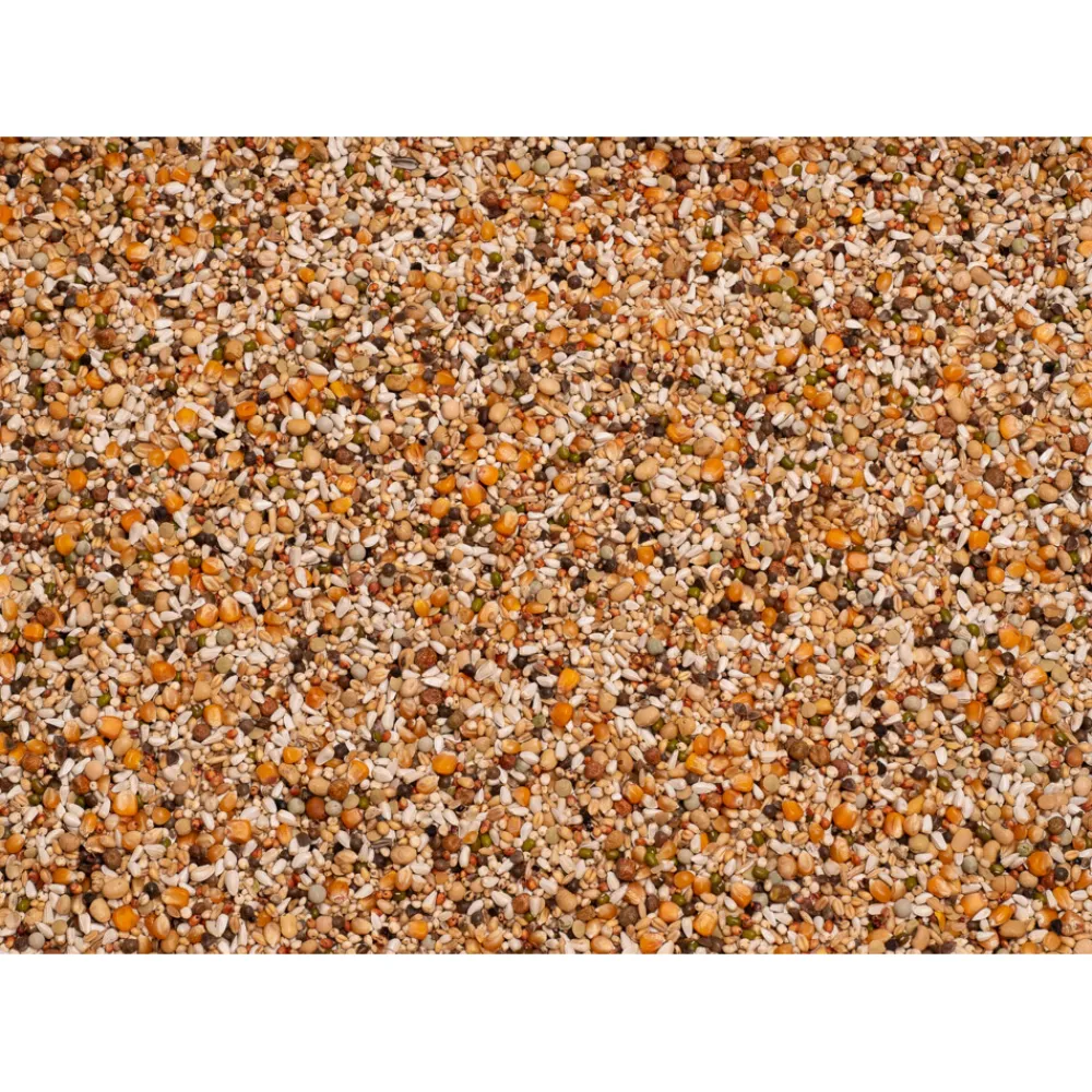 Sale Premium Jan Keen Superlight 20 kg Duif