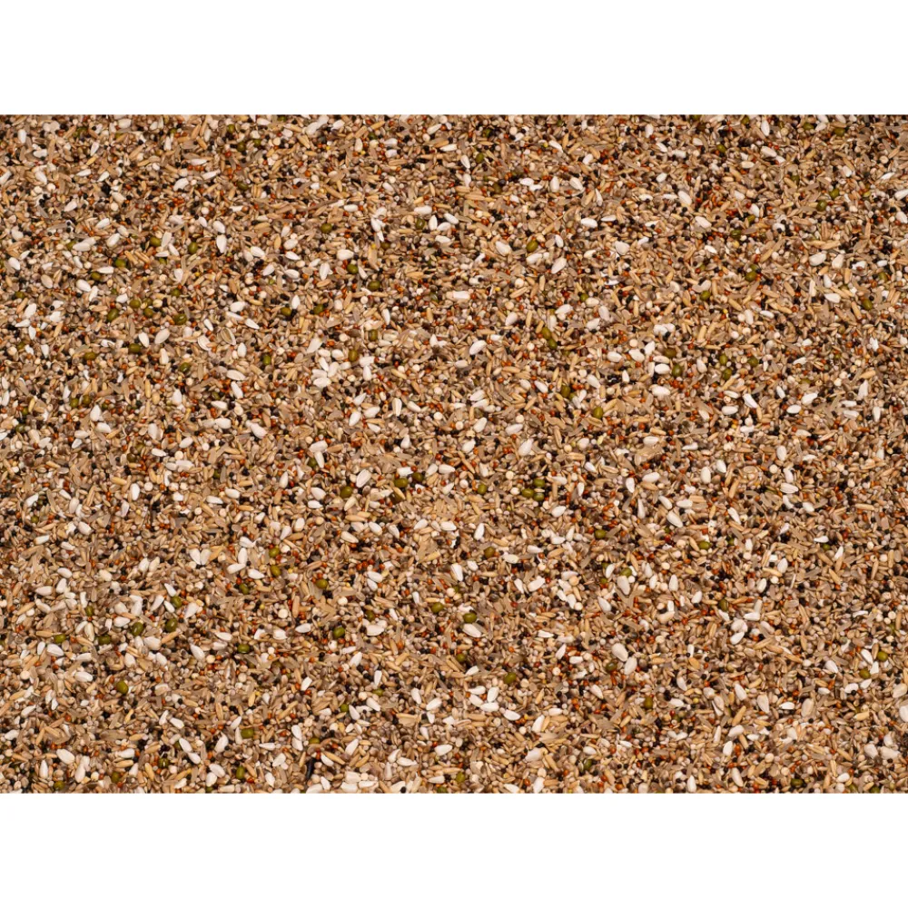 Duif<Beyers Premium Snoepzaad Exclusief 20 kg