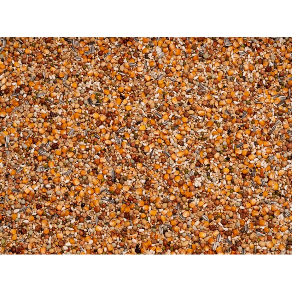 Hot Premium Super Rui 20 kg Duif