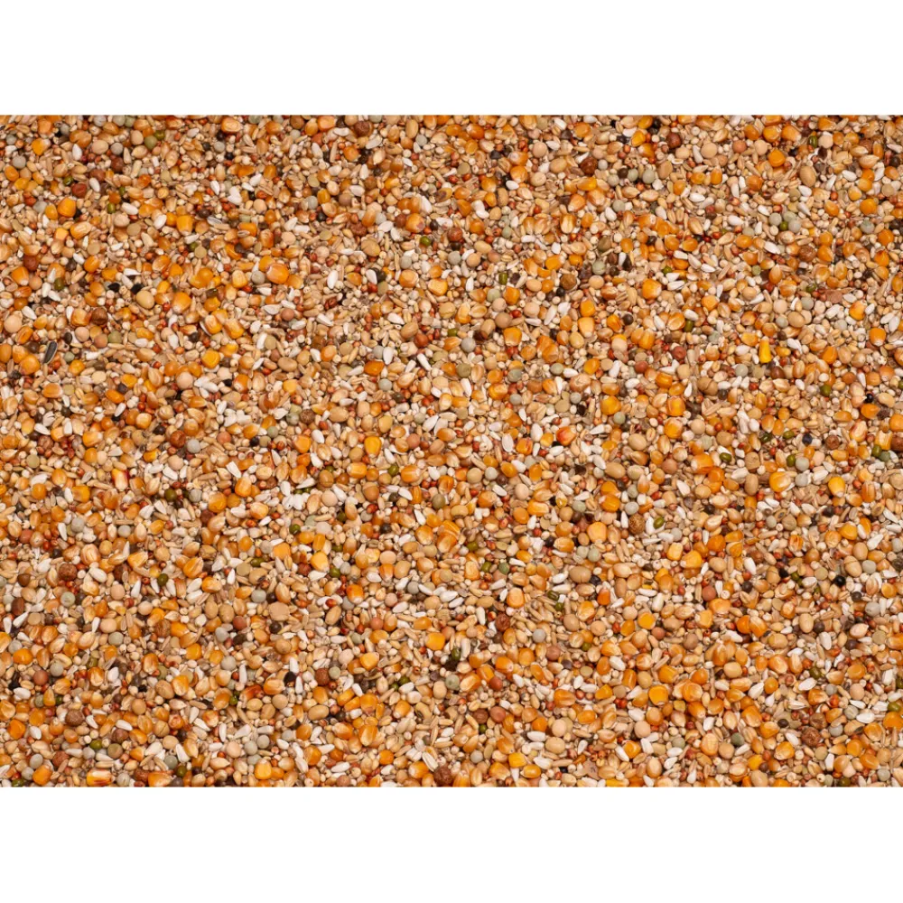 Duif<Beyers Premium Super Weduwschap 20 kg