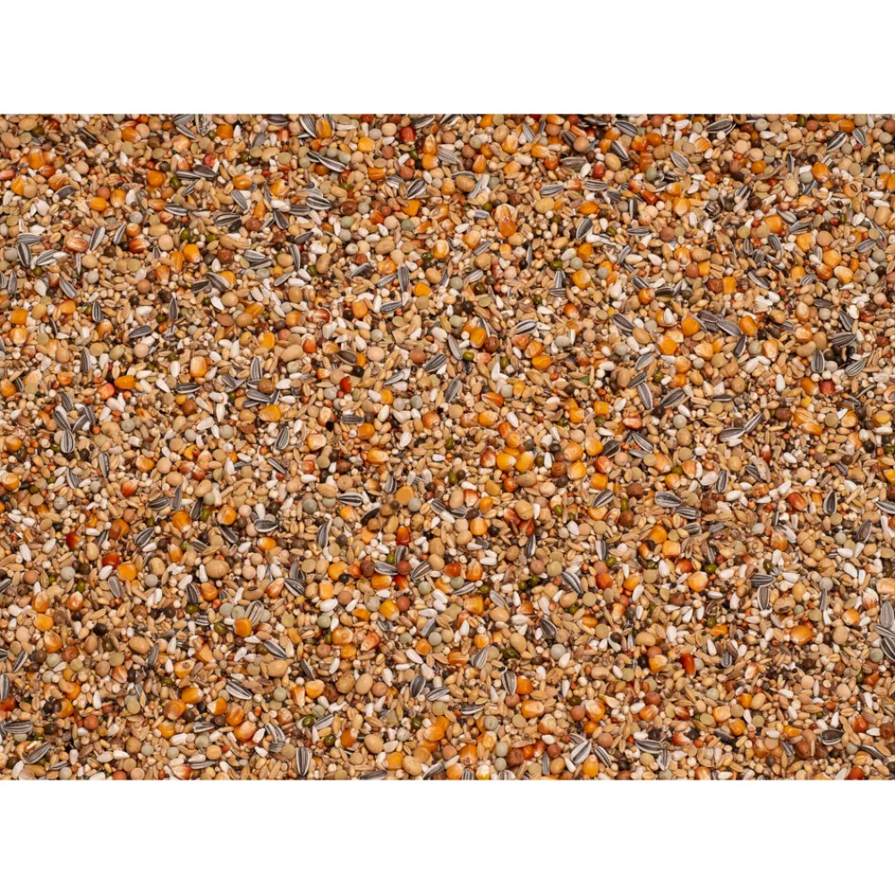 Duif<Beyers Premium Thoné Olympic 20 kg