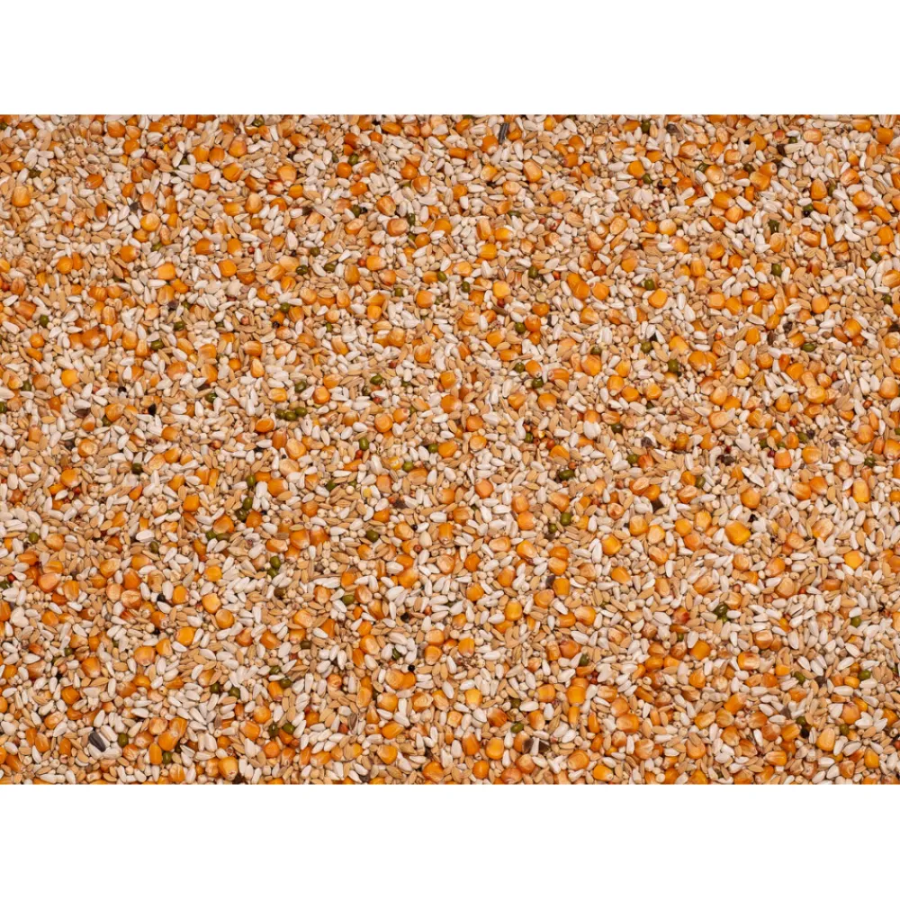 Premium Vandenabeele 20 kg^Beyers Online