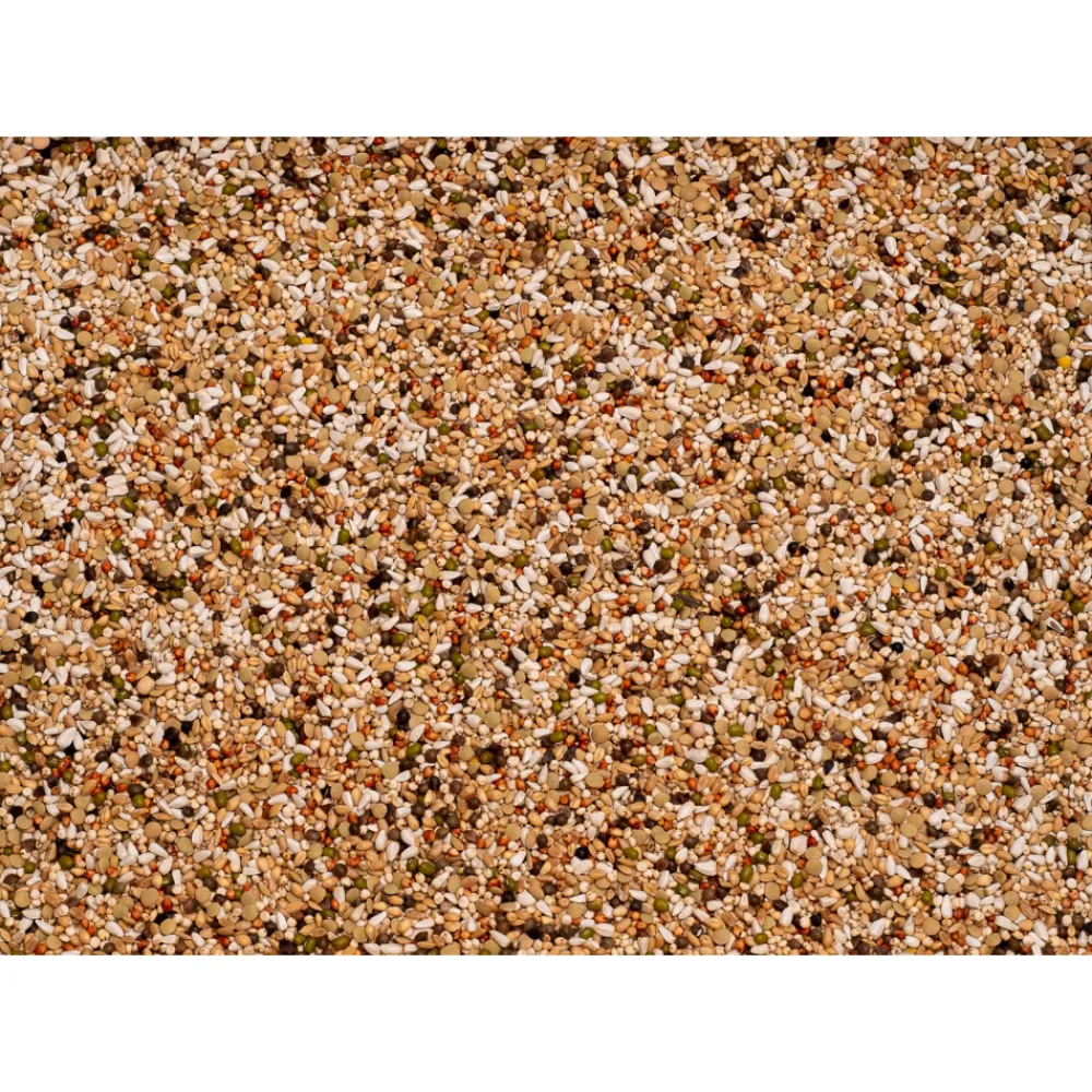 Premium Wal Zoontjens Geel 25 kg^Beyers Clearance