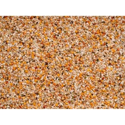 Premium Youngsters 20 kg^Beyers Sale