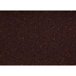 Raapzaad 20 kg^Beyers Sale