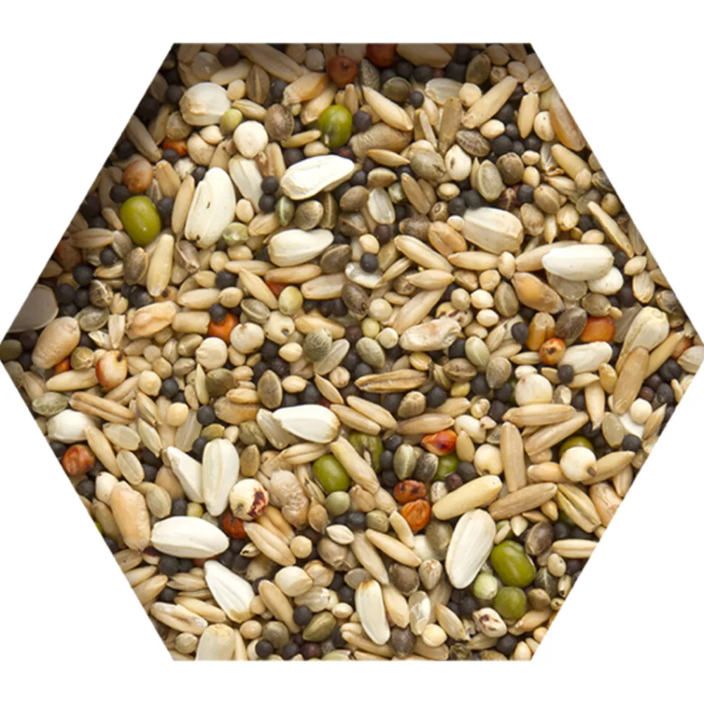 Discount Trapping Mix 2,5 kg Duif