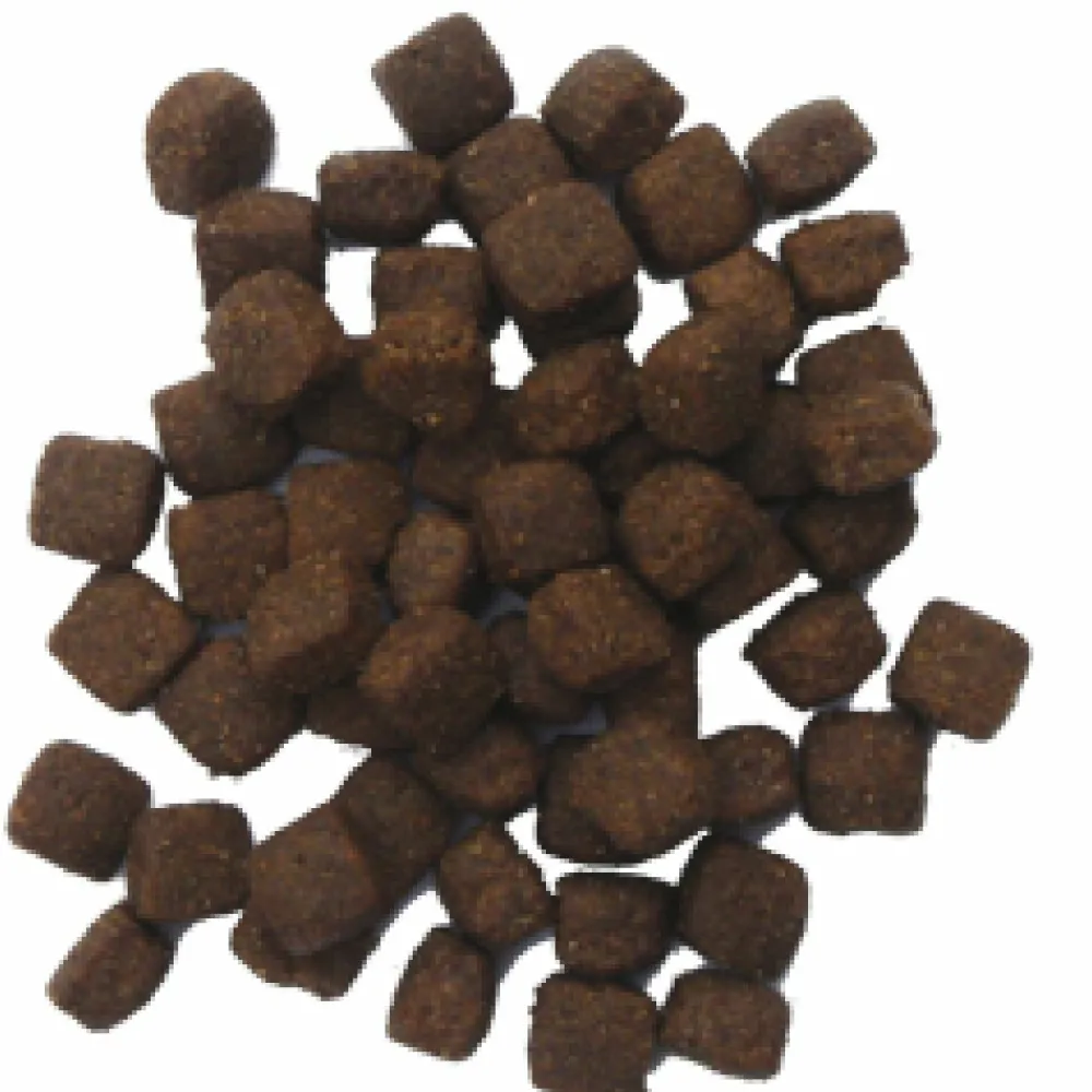 Active High Energy 12,5 kg^BF Petfood Outlet