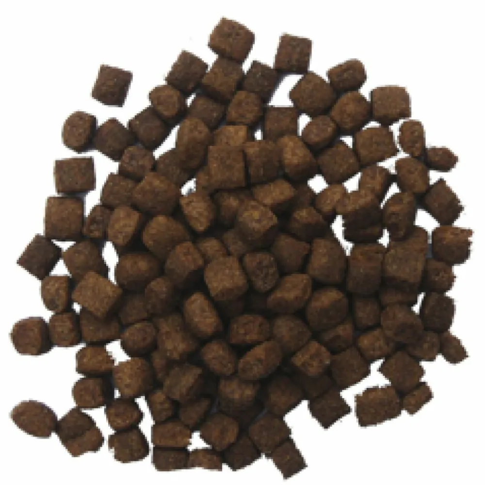 Lam en Rijst Hondenvoer Hondenvoer 12,5 kg^BF Petfood New