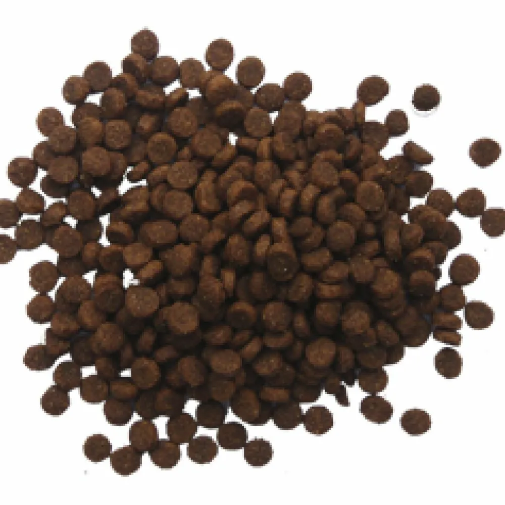 Puppy Hondenvoer Hondenvoer 12,5 kg^BF Petfood Outlet