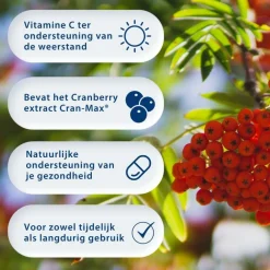 Best Cranberry & D-Mannose 100 capsules Weerstand & Energie|Speciale Bestanddelen