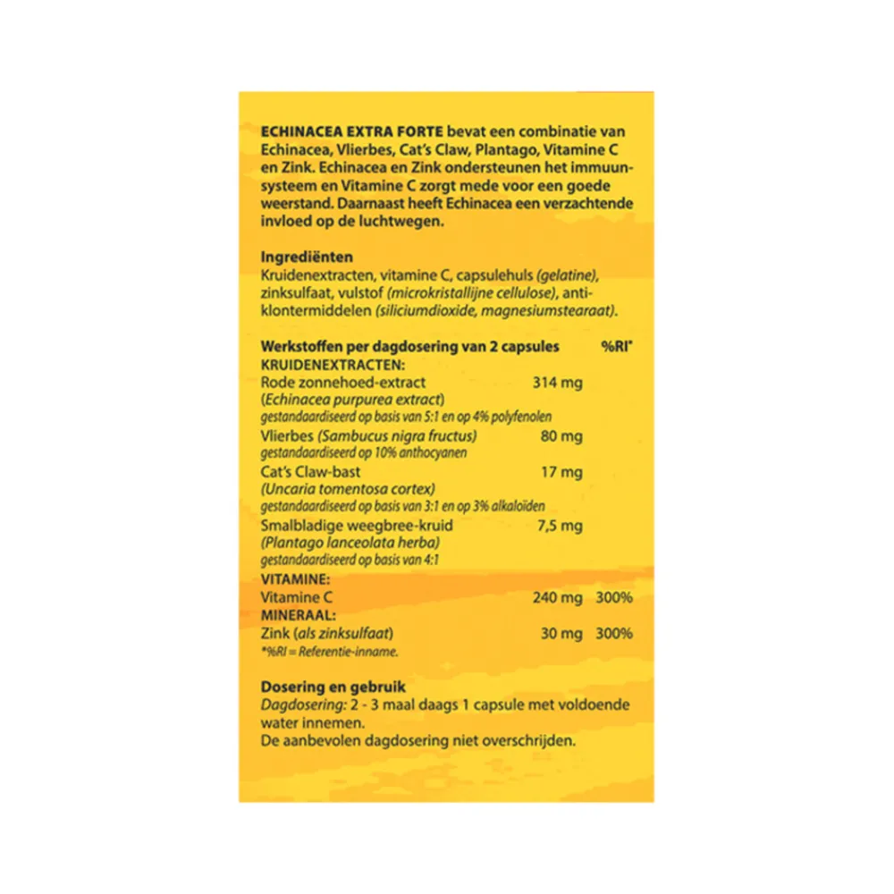 Sale Echinacea 60 capsules Weerstand & Energie