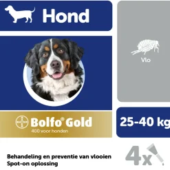 Hot Gold Anti Vlooiendruppels Hond Vanaf 25 kg 4 pipetten Vlo, Teek & Worm
