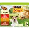 Pouch in Gelei Multipack 12 x 85 gr^Bonzo Hot