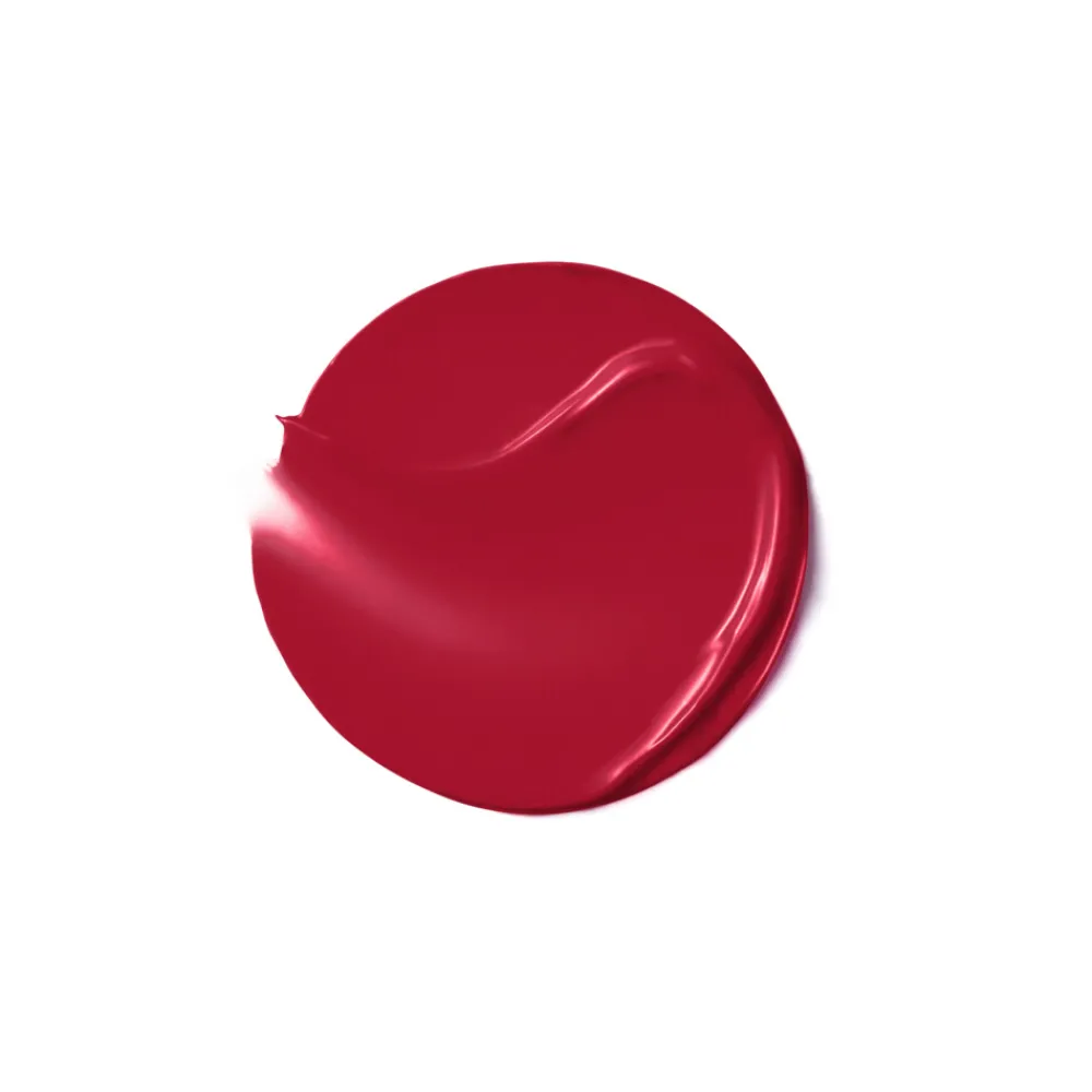 Healthy Mix Lip Sorbet 01 Sund Cherry 7.4 gr^Bourjois Outlet