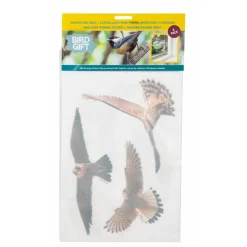 Tuininrichting<Bûten Raamstickers Vogels 6-delig 1 set