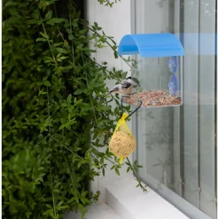 Hot Raamvoederhuisje Vogels En Tuindieren