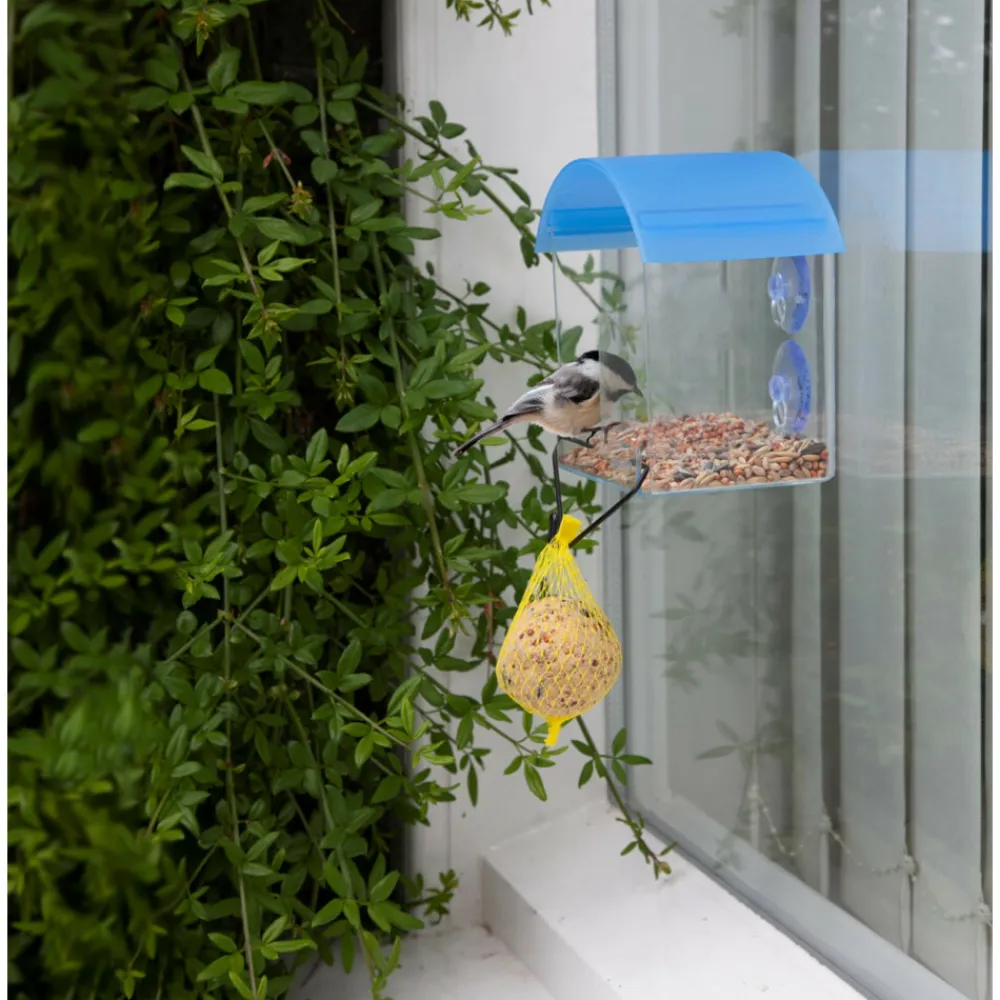 Hot Raamvoederhuisje Vogels En Tuindieren