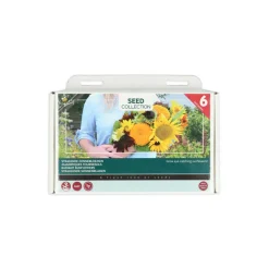 Kweken En Zaden<Buzzy Collection Kweekset 6 Stralende Zonnebloemen 1 set