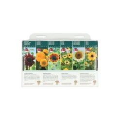 Kweken En Zaden<Buzzy Collection Kweekset 6 Stralende Zonnebloemen 1 set