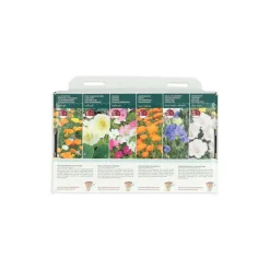Kweken En Zaden<Buzzy Collection Kweekset 6 Kleurrijke Bloemen Voor De Starter 1 set