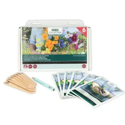 Kweken En Zaden<Buzzy Collection Kweekset 6 Kleurrijke Bloemen Voor De Starter 1 set