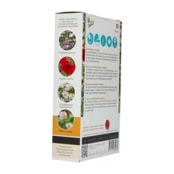 Friendly Flowers 15 m² Bermenmengsel^Buzzy Online
