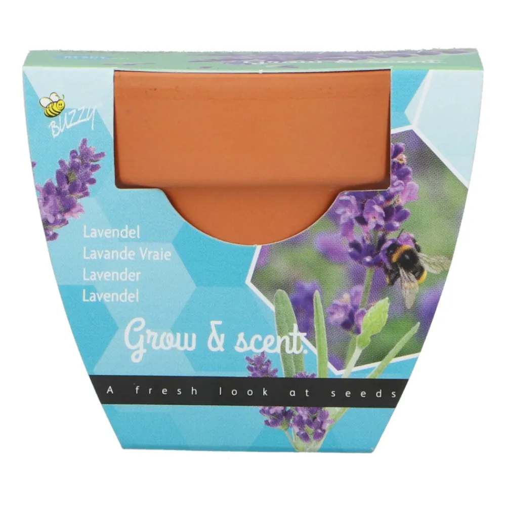 Groeicadeautje Lavendel Kweken En Zaden