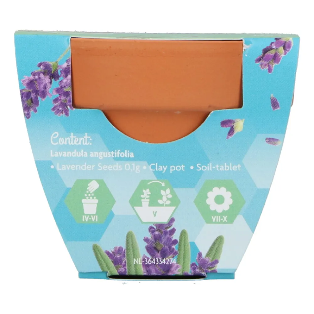 Groeicadeautje Lavendel Kweken En Zaden