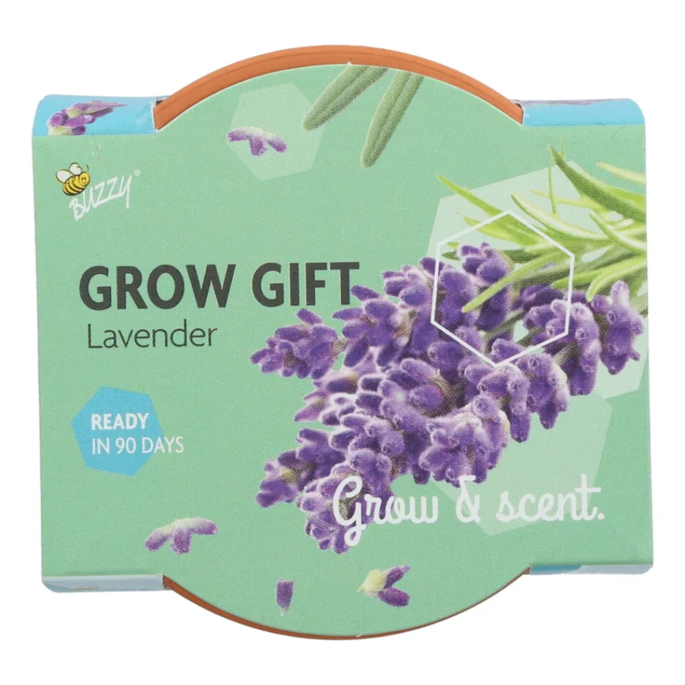 Groeicadeautje Lavendel Kweken En Zaden