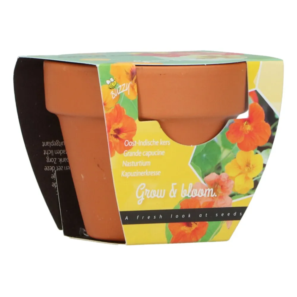 Hot Groeicadeautje Oost-Indische Kers Kweken En Zaden