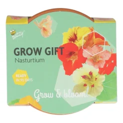 Hot Groeicadeautje Oost-Indische Kers Kweken En Zaden