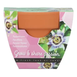 Kweken En Zaden<Buzzy Groeicadeautje Passiflora
