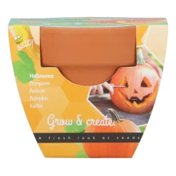 Groeicadeautje Pompoen^Buzzy Online