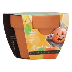 Groeicadeautje Pompoen^Buzzy Online