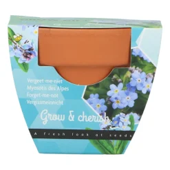 Hot Groeicadeautje Vergeet-me-niet Kweken En Zaden